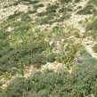 easter-2003-03.jpg