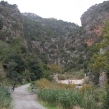 males-walk-02.jpg