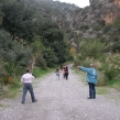 males-walk-03.jpg