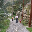males-walk-05.jpg