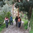 males-walk-07.jpg
