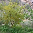 males-walk-08.jpg