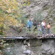 males-walk-20.jpg