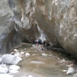 males-walk-41.jpg