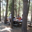 picknick-vladimir-02.jpg