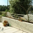 spring-2006-03.jpg
