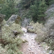 xmas-2003-25.jpg