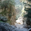 xmas-2003-34.jpg