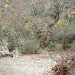 chania-xmas-2006-02.jpg