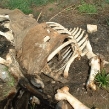 youchtas-2006-06.jpg