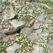 youchtas-2006-07.jpg