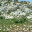 youchtas-2006-08.jpg